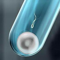 2026三代试管婴儿的价格是多少？