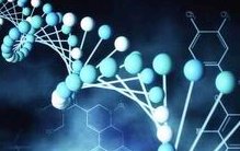 2026大连私立助孕机构排名前十公布，附大连试管婴儿移植的费用明细