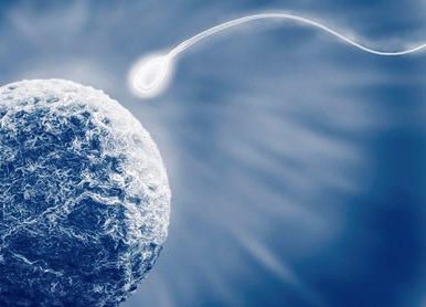 2026山东青岛助孕公司排名大盘点，成功率／费用选择缺一不可